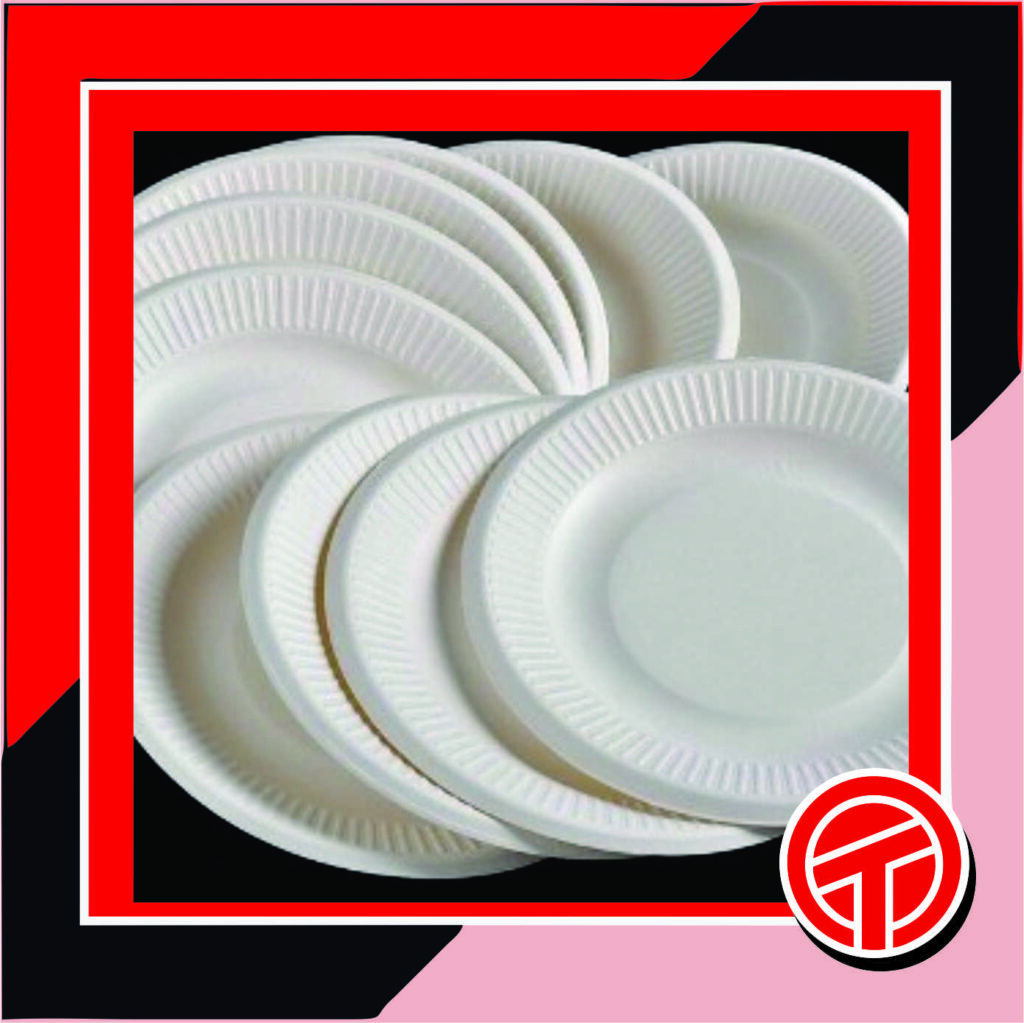 Platos descartables grandes blancos x 50 uni